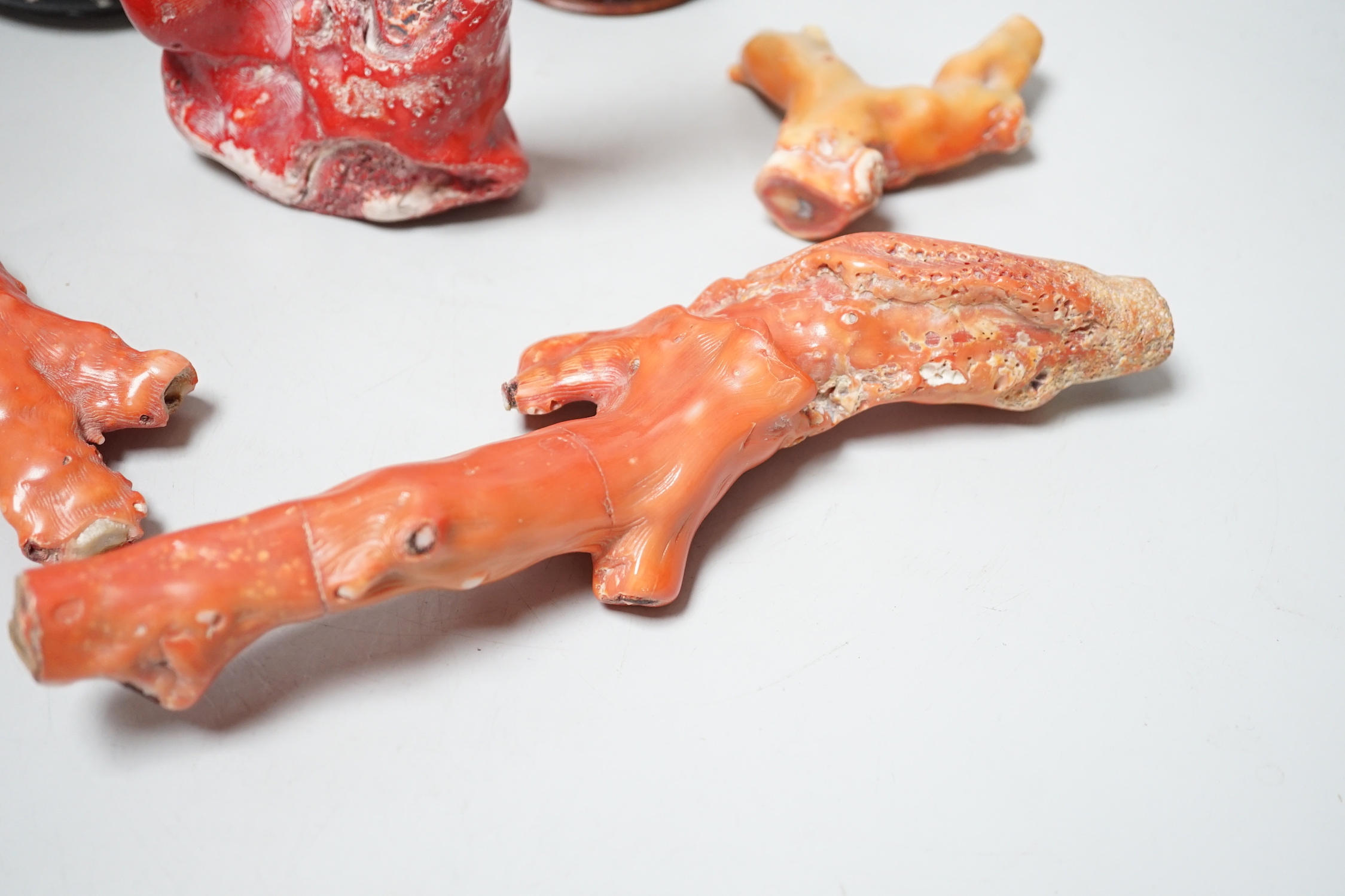 Five Chinese coral fragments